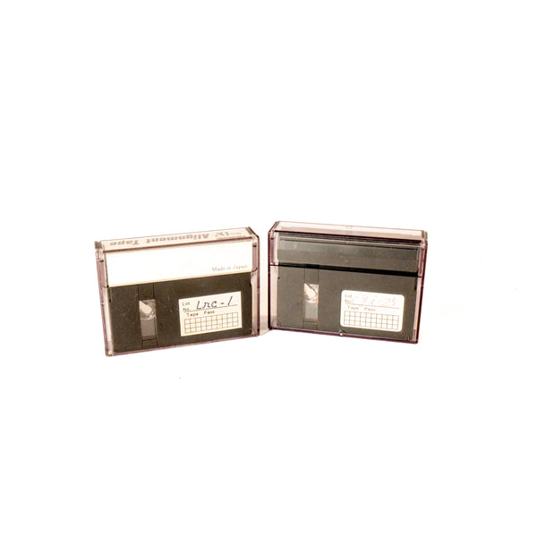 Lot 2 Cassettes Alignement Mini DV Panasonic VFM3000EDS VFM3110EDS - Broadcast